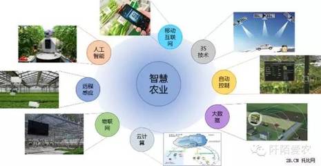 “互聯(lián)網(wǎng)+農(nóng)業(yè)” 10萬億市場的軟件開發(fā)機(jī)遇